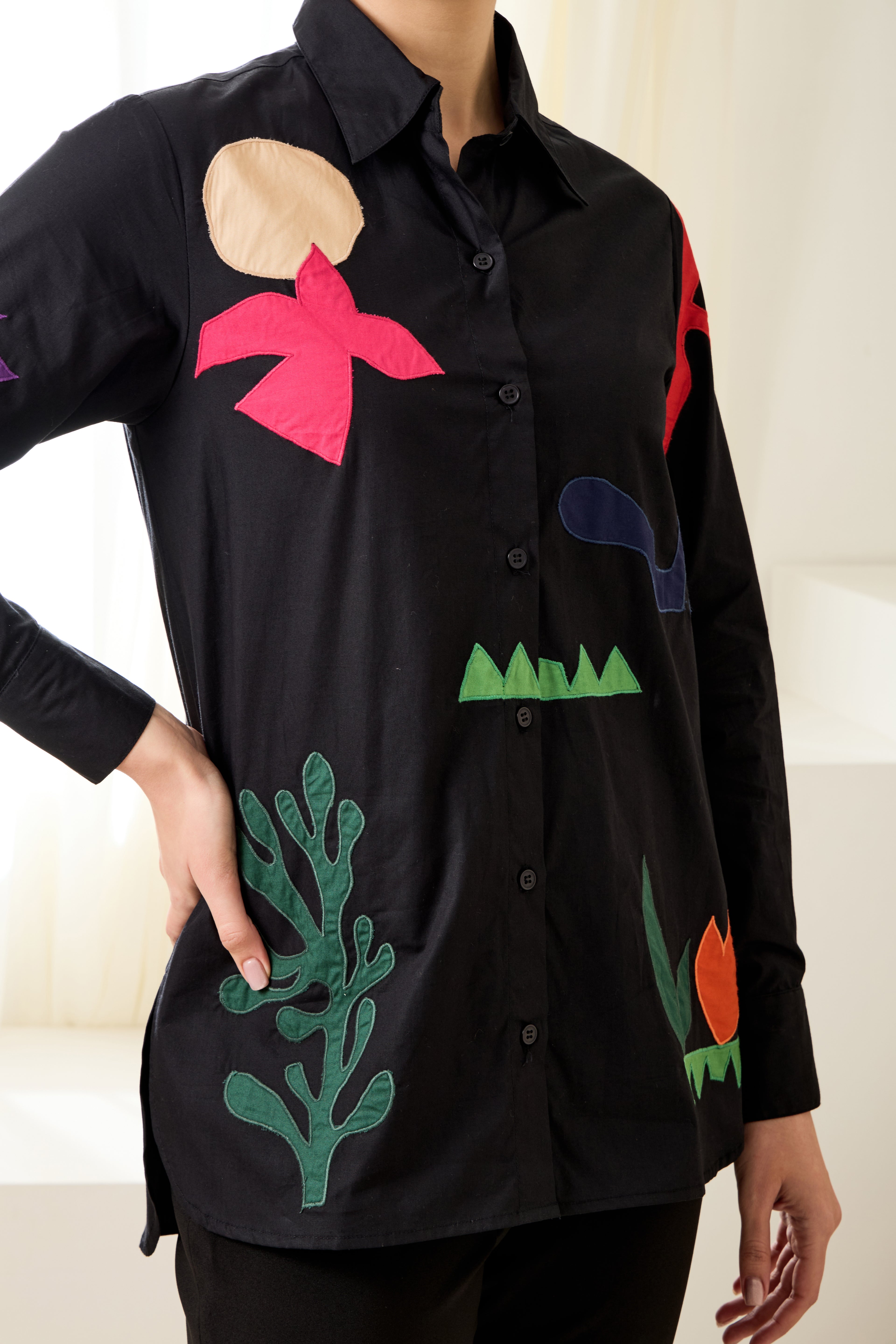 Matisse Applique Poplin Shirt
